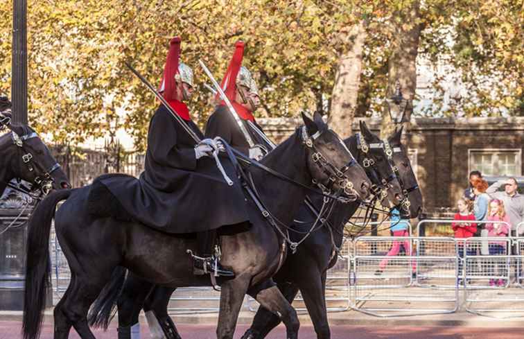 London Harness Horse Parade / england