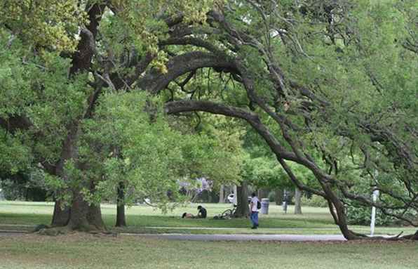 Montrose Neighborhood Profile / Texas