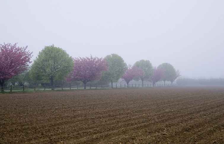 Organic Farms en Long Island, Nueva York / Nueva York