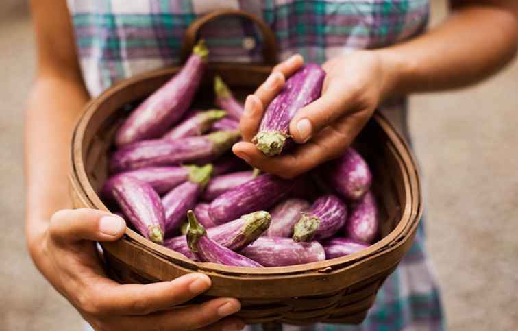 Pittsburgh CSA Farms & Cooperatives