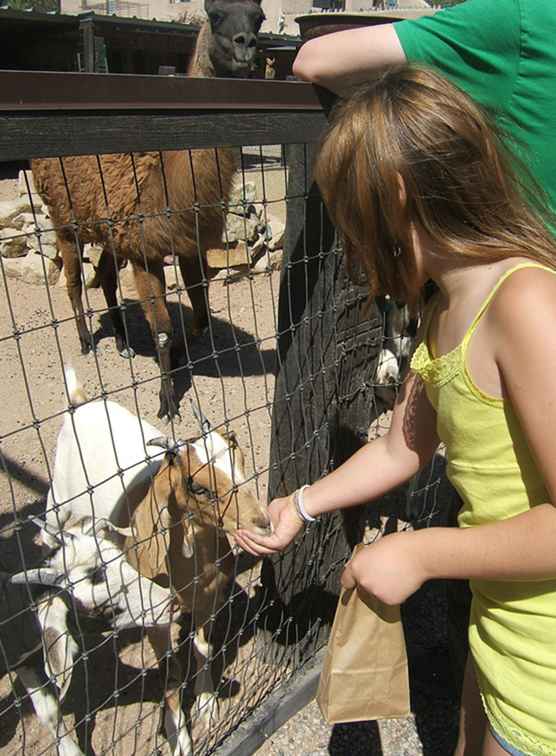 Visita gli animali della fattoria con i bambini