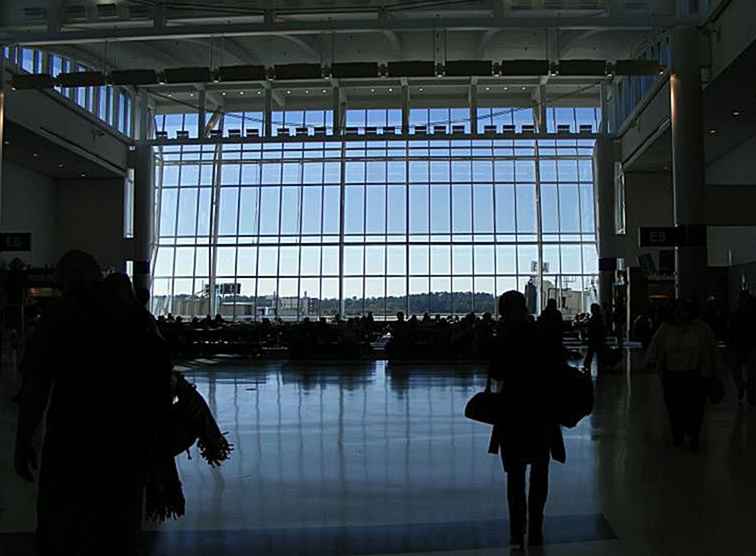 La tua guida per l'aeroporto intercontinentale George Bush di Houston